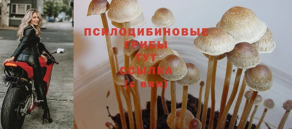 мяу мяу кристалл Осинники